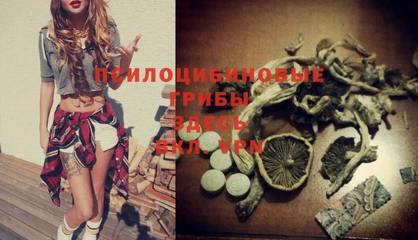 spice Баксан