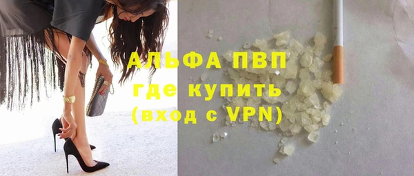 индика Балабаново