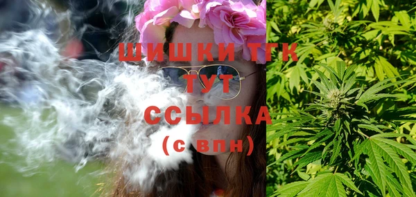 индика Балабаново