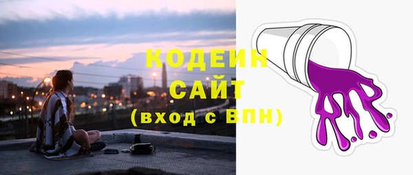 индика Балабаново