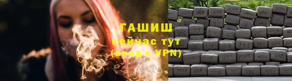 индика Балабаново