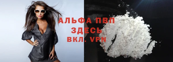 спиды Осташков
