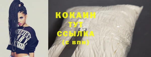 индика Балабаново