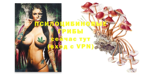 индика Балабаново
